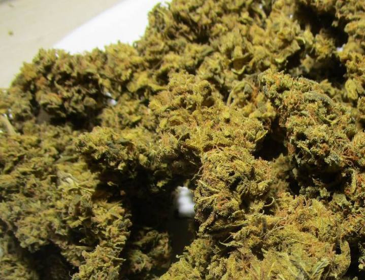 【武汉】国产超级柠檬2.0